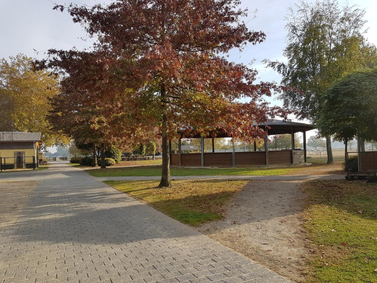 Apartments Luisenhof 크레펠트 외부 사진
