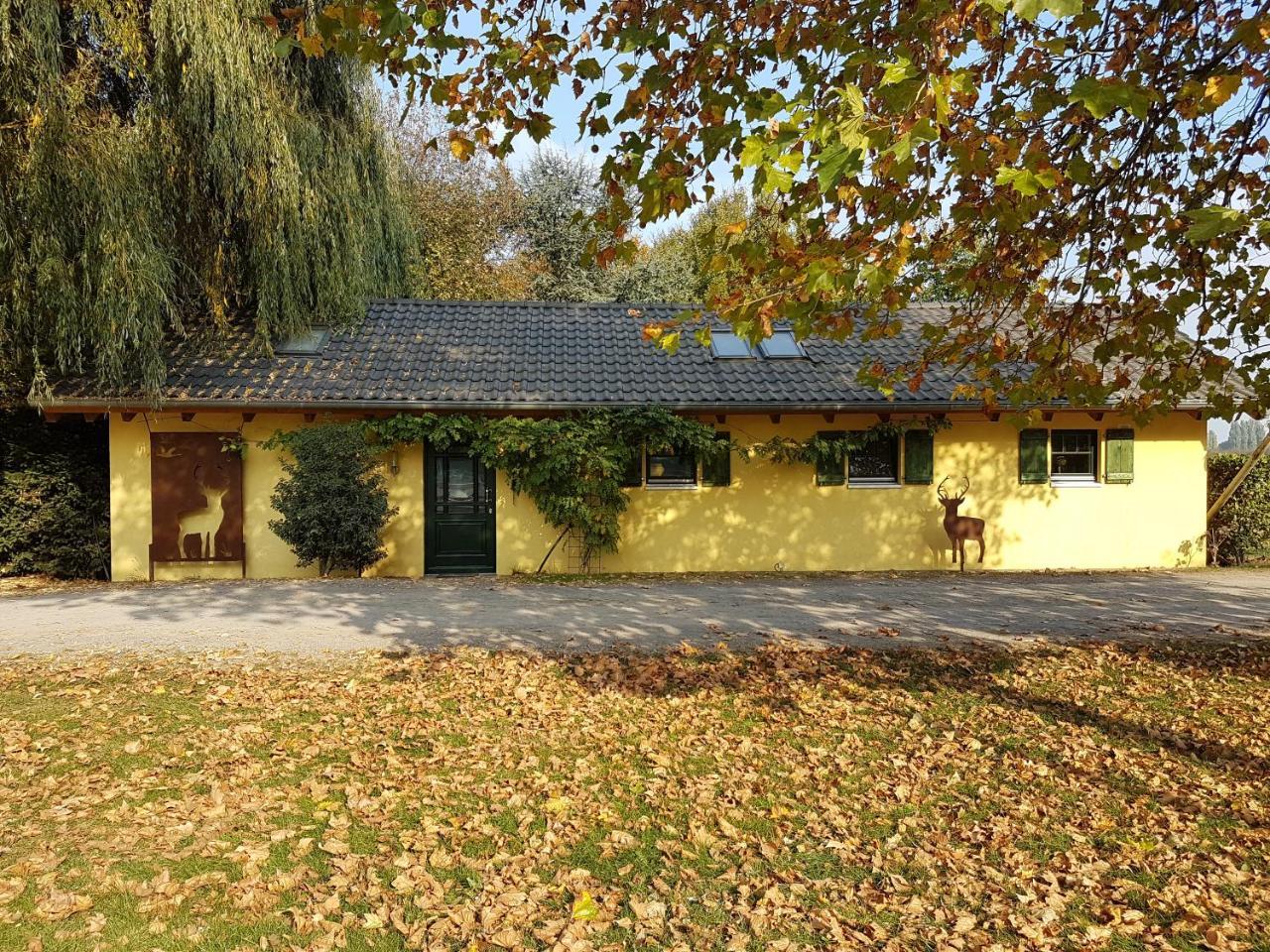 Apartments Luisenhof 크레펠트 외부 사진