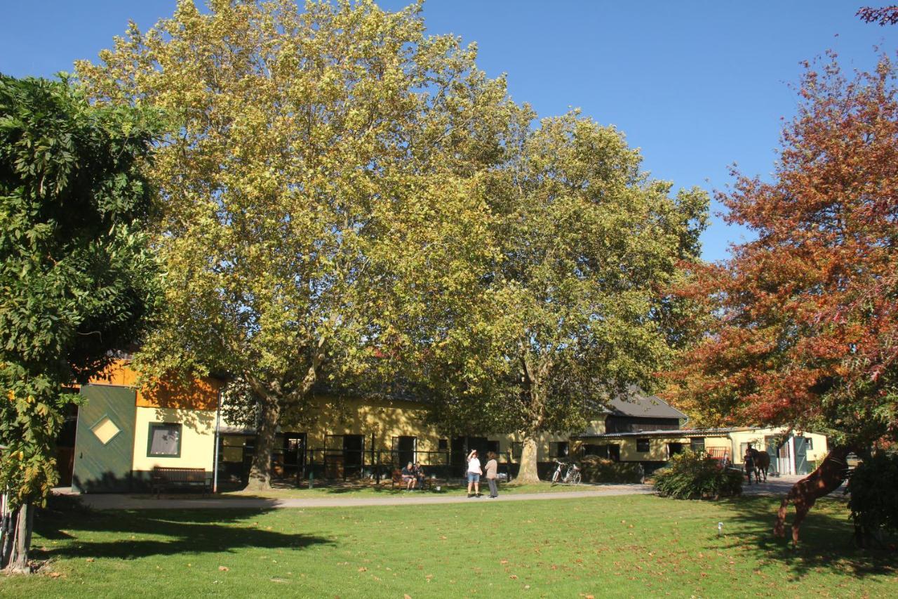 Apartments Luisenhof 크레펠트 외부 사진